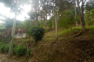 Tanah Pertanian Dusun Tuan , Batu 17 Hulu Langat