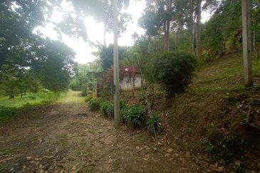 Tanah Pertanian Dusun Tuan , Batu 17 Hulu Langat