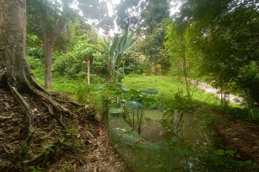 Tanah Pertanian Dusun Tuan , Batu 17 Hulu Langat