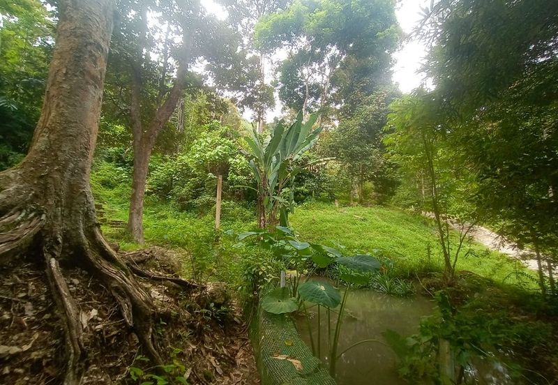 Tanah Pertanian Dusun Tuan , Batu 17 Hulu Langat
