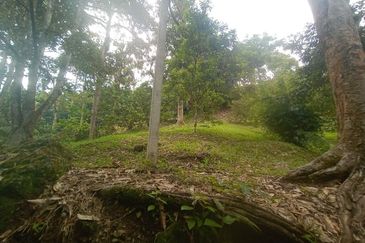 Tanah Pertanian Dusun Tuan , Batu 17 Hulu Langat