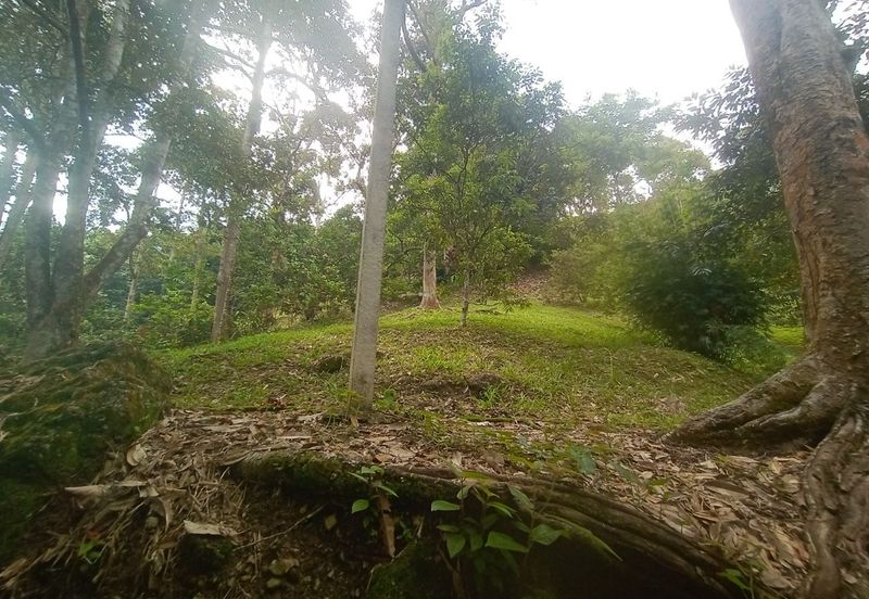 Tanah Pertanian Dusun Tuan , Batu 17 Hulu Langat