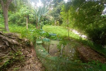 Tanah Pertanian Dusun Tuan , Batu 17 Hulu Langat