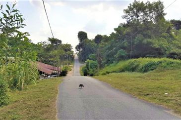 Kampung Bukit Temiang