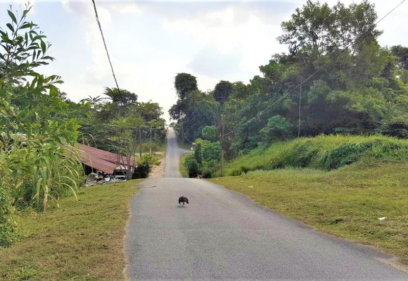 Kampung Bukit Temiang