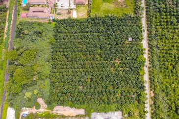 Sepang Agriculture Land 10 acre for Sale! Near AVANI Sepang Goldcoast
