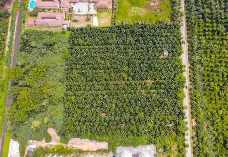 Sepang Agriculture Land 10 acre for Sale! Near AVANI Sepang Goldcoast