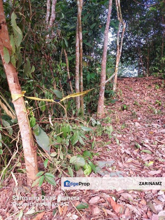 Tanah Freehold Lot Bungalow Sg Gahal, Mukim Hulu Langat for Sale!, Selangor, Hulu Langat