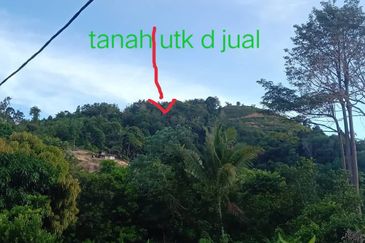 TANAH DUSUN MUKIM LENGGENG UNTUK DIJUAL!