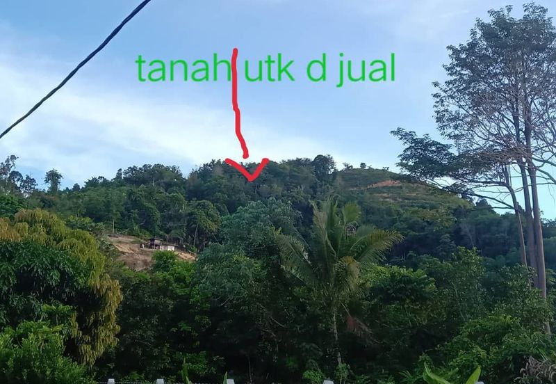 TANAH DUSUN MUKIM LENGGENG UNTUK DIJUAL!