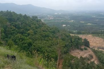 TANAH DUSUN MUKIM LENGGENG UNTUK DIJUAL!