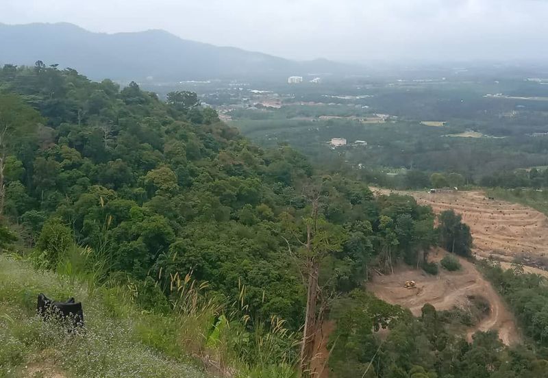 TANAH DUSUN MUKIM LENGGENG UNTUK DIJUAL!