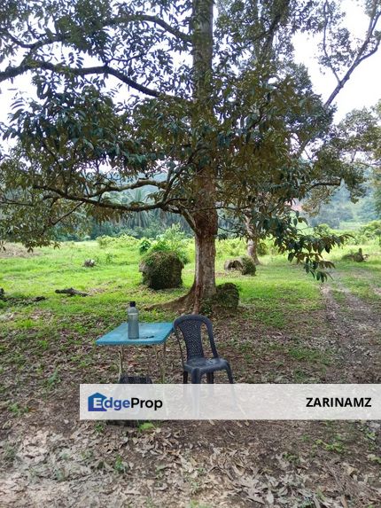 Tanah di Ulu Beranang Mukim Lenggeng untuk Dijual!, Negeri Sembilan, Seremban