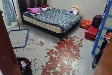 Taman Taynton (Taynton View)