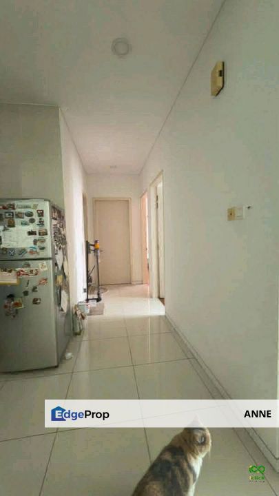 Temasya Kasih Condo Shah Alam, Selangor, Shah Alam