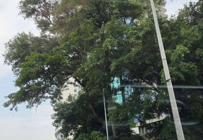 Menara KLGCC - Luxurious, Modern & Strategic Office W/ Bright View