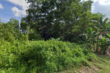 Taman Nusa Perintis 1