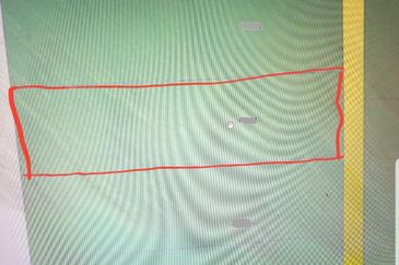 REVOLUSI HIJAU JOHAN SETIA