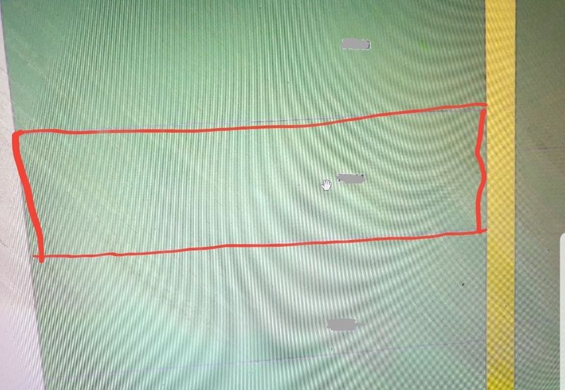 REVOLUSI HIJAU JOHAN SETIA