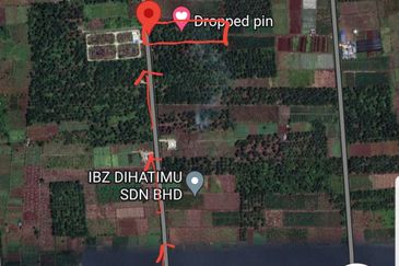 REVOLUSI HIJAU JOHAN SETIA