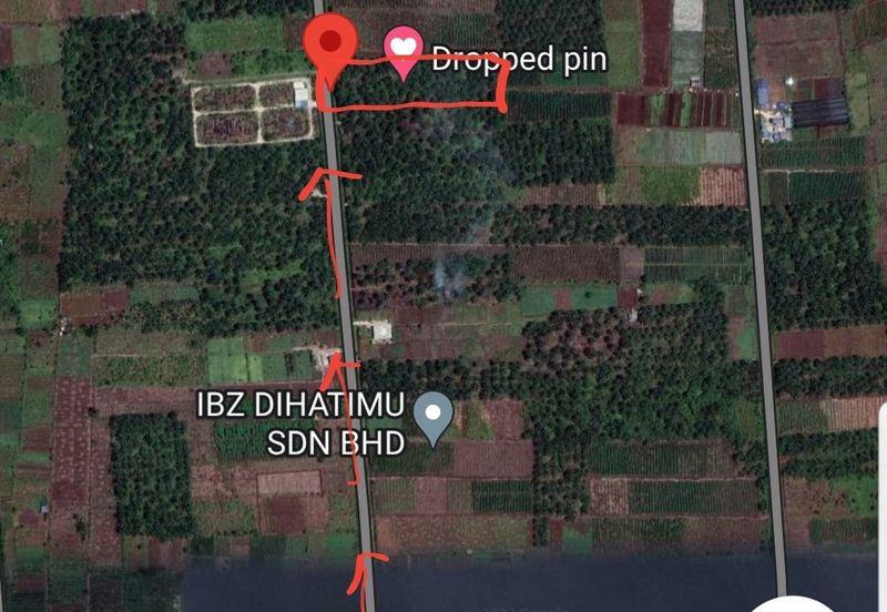 REVOLUSI HIJAU JOHAN SETIA