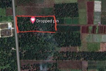 REVOLUSI HIJAU JOHAN SETIA