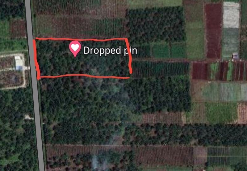 REVOLUSI HIJAU JOHAN SETIA