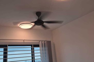 ambang botanic gm remia