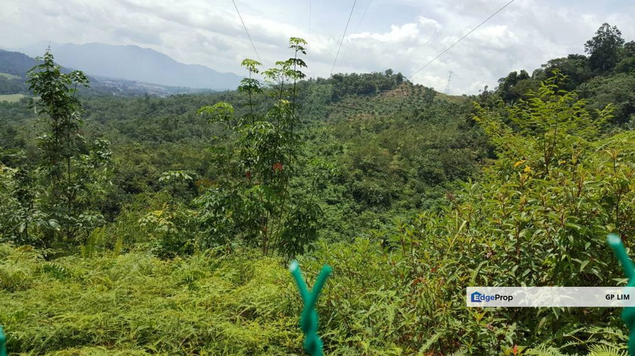 pahang betong, Pahang, Bentong