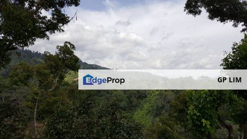 pahang betong, Pahang, Bentong