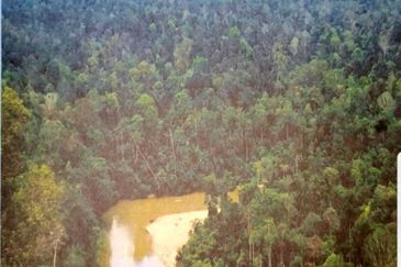 Pahang Ulu Tembeling