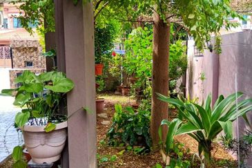 Butterfly Park @ Bandar Bukit Tinggi