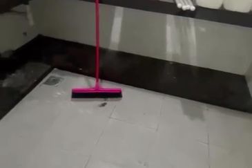 Orchis Apartment, Bandar Parklands