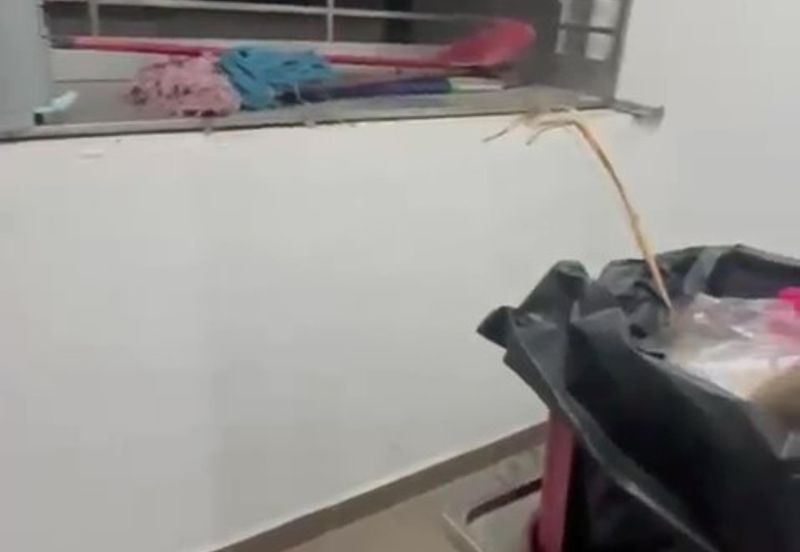 Orchis Apartment, Bandar Parklands