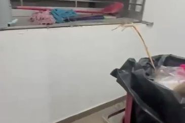 Orchis Apartment, Bandar Parklands