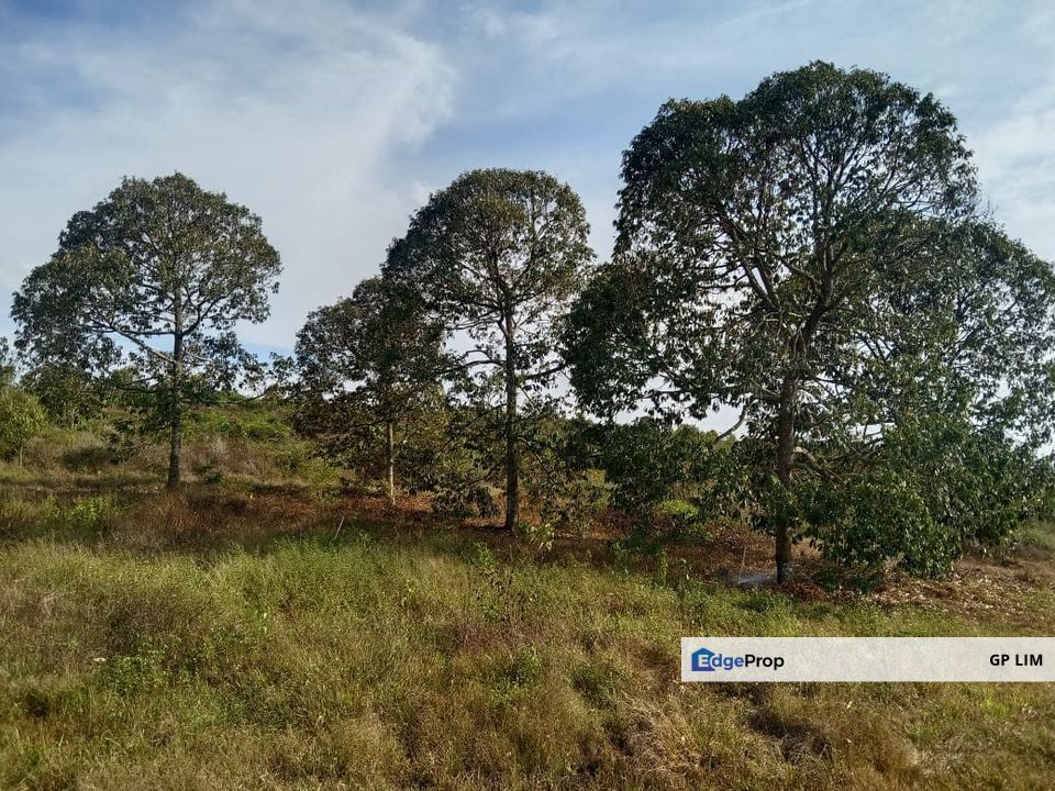 Simpang pertang jelebu negeri sembilan, Negeri Sembilan, Jelebu