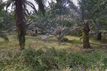 Telok Panglima Garang Industrial Zone