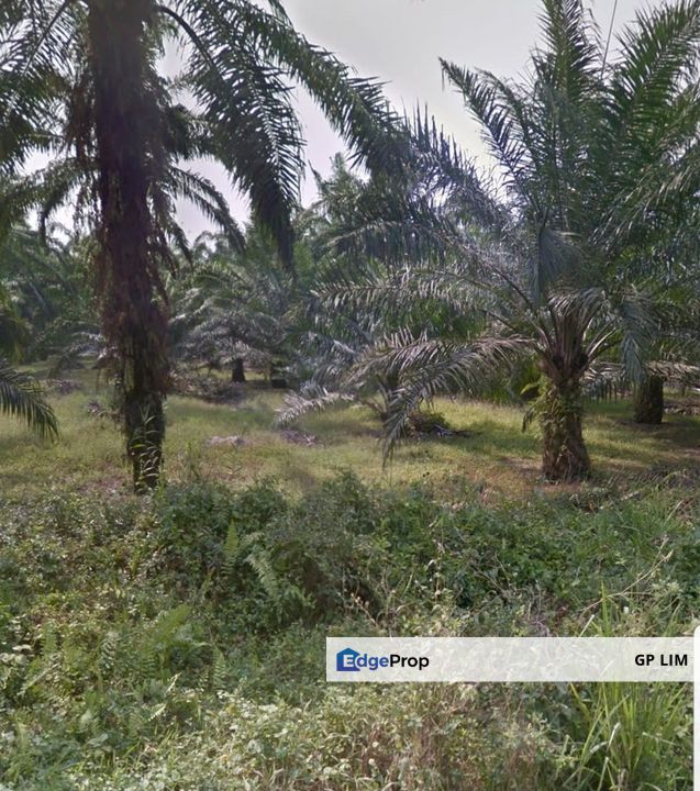 Telok panglimagarang taman pertiwi, Selangor, Telok Panglima Garang