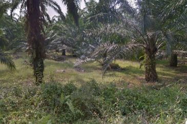 Telok Panglima Garang Industrial Zone