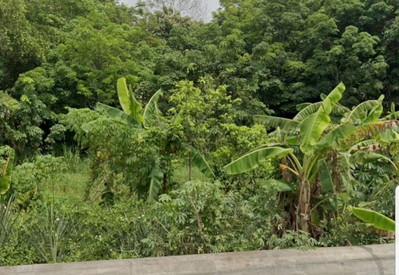 Meru trsidential land for sale