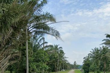 Telok Mengkuang Industrial