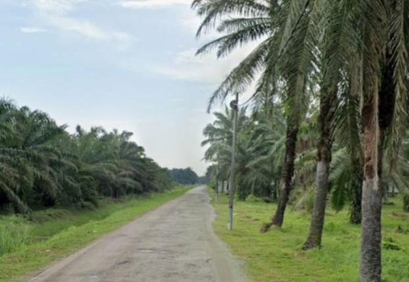Telok Mengkuang Industrial