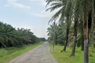 Telok Mengkuang Industrial