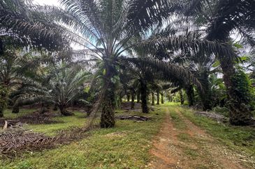 Scientex Bandar Kulai