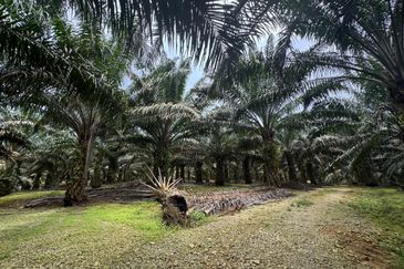 Scientex Bandar Kulai