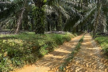 Scientex Bandar Kulai