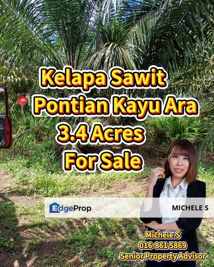 Pontian Kayu Ara 3.4 Acres Kelapa Sawit Land For Sale, Johor, Pontian