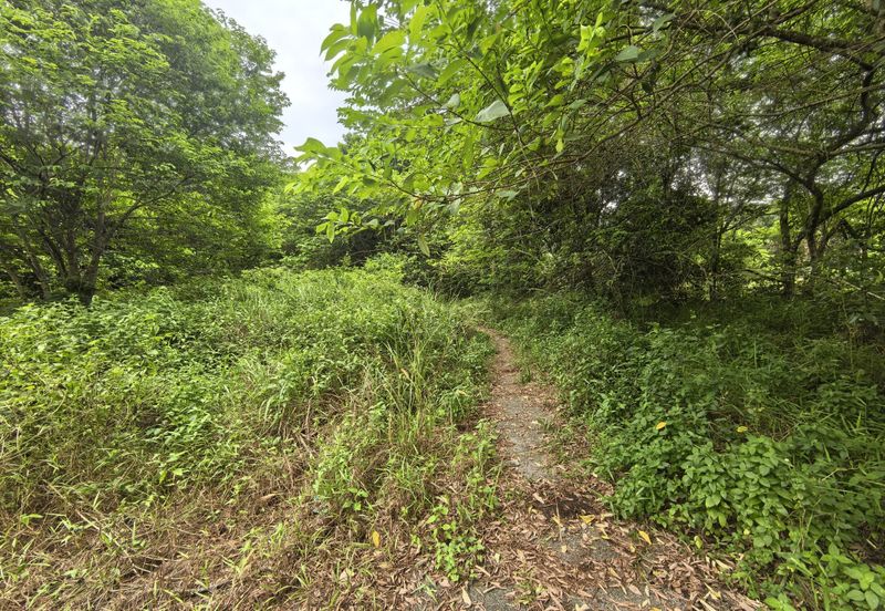 Bandar Baru Seri Alam