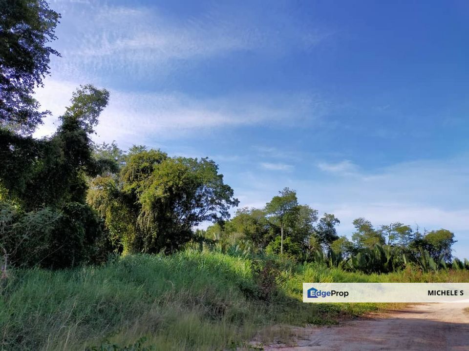 Batu Pahat Algriculture Land For Sale, Johor, Batu Pahat