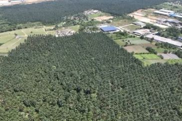 Senai Industrial Park